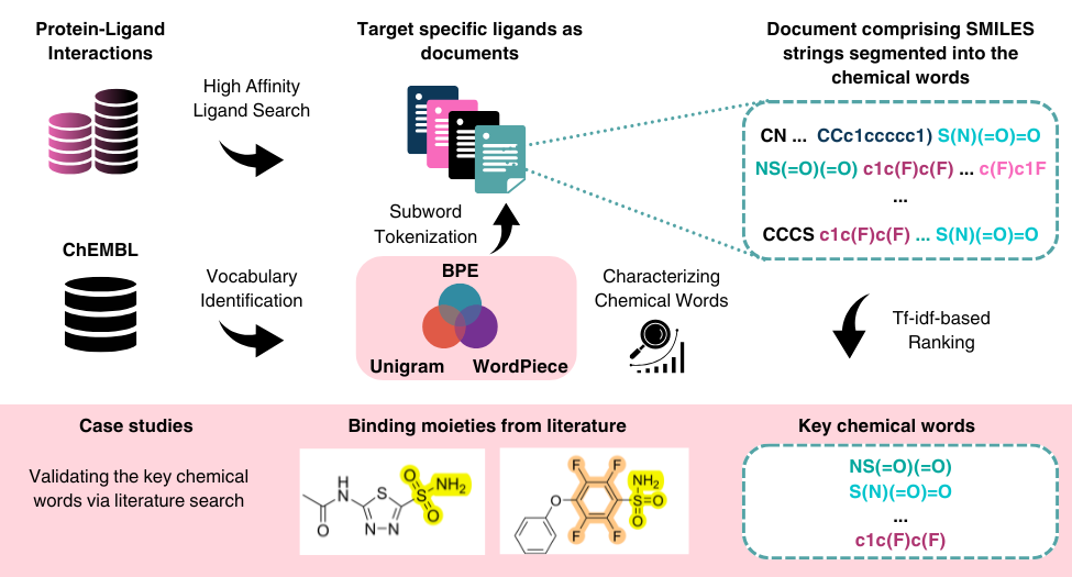 Graphical Abstract