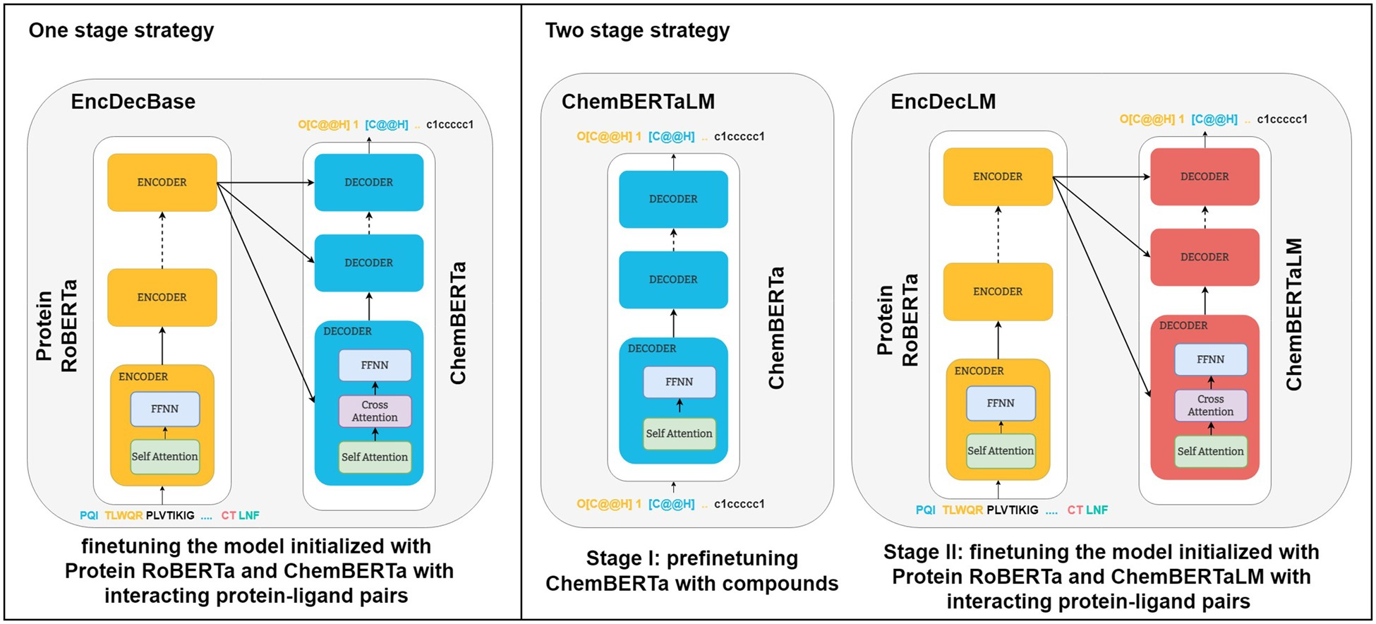Model overview of WarmMolGen (denoted as EncDecBase and EncDecLM)